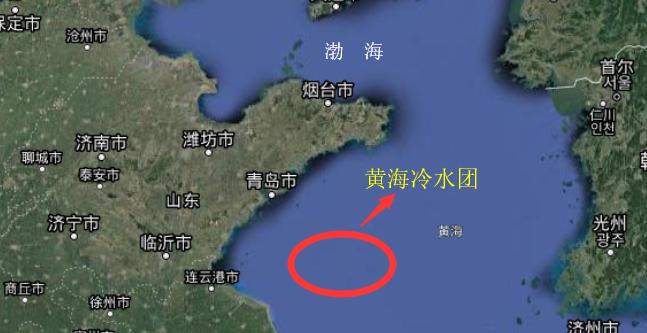 网箱养鱼死了,网箱养鱼生财之路