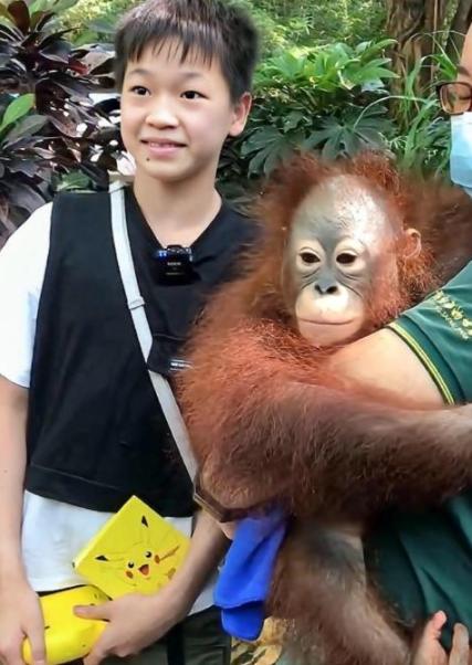 杨倩被称跪族少女,王梦洁上热搜,红姐无辜躺枪,用万元手机被黑