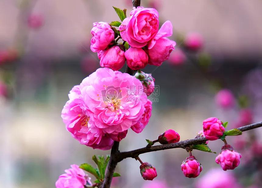 姜子牙直钩钓鱼愿者上钩,姜子牙钓鱼愿者上钩你想到了什么