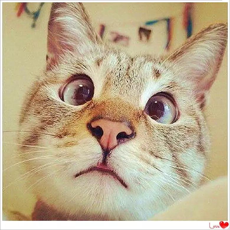 快速看透一个男人的性格