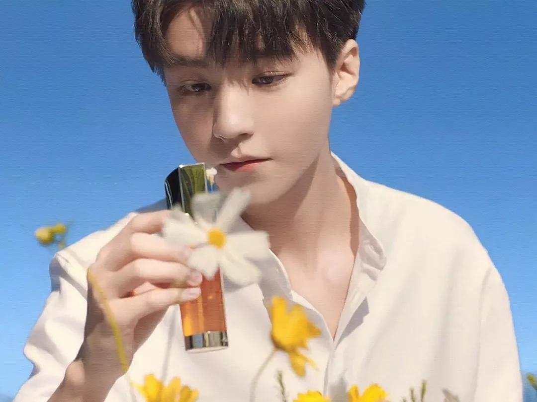 明星代言化妆品到底咋样,明星代言化妆品为什么不抹脸上