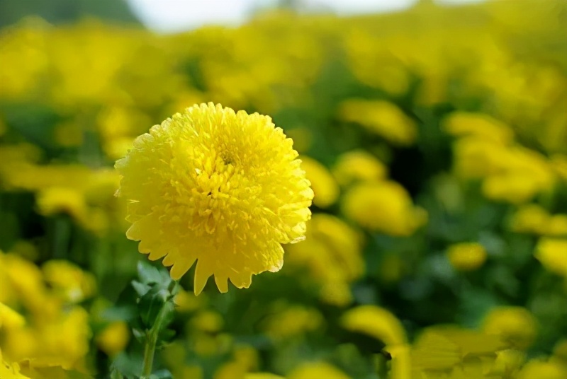 国足上次入围世界杯的时候，世界是这个样子