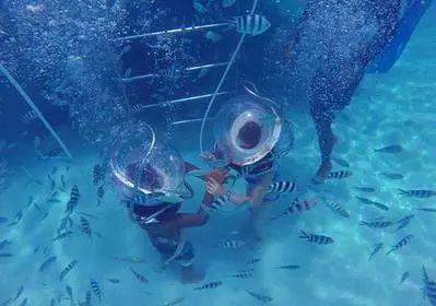 海上飞伞体验感受,亚庇海底漫步有危险吗
