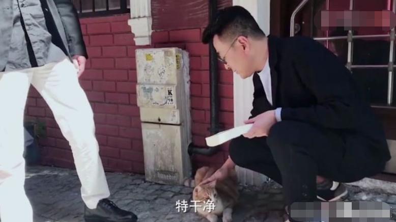 窦文涛为啥火,窦文涛油腻男