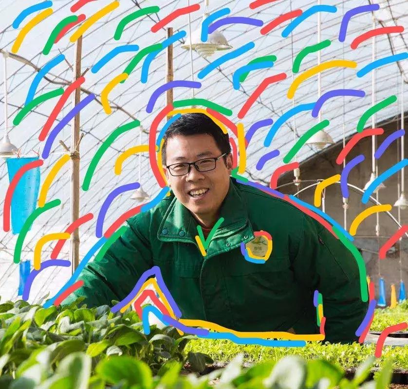 有机食品为什么更好吃,有机食品为什么那么贵