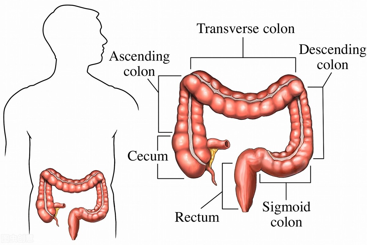 直肠癌的6个早期症状怎么引起,导致直肠癌出现的五大原因介绍