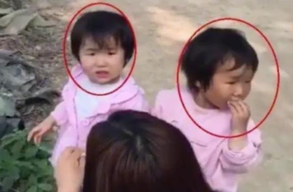 豆浆能代替奶粉吗,豆浆能代替配方奶粉吗