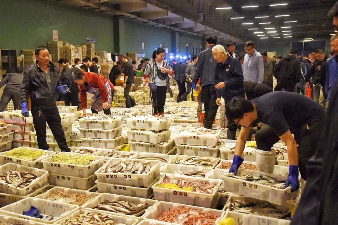 一年一度的开渔季,开渔季味蕾狂欢之旅