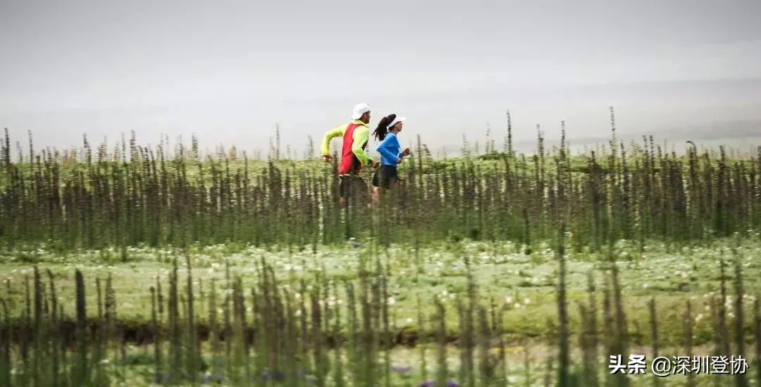 2023唐古拉斯越野赛报名要求,2017阿尼玛卿高原国际越野挑战赛