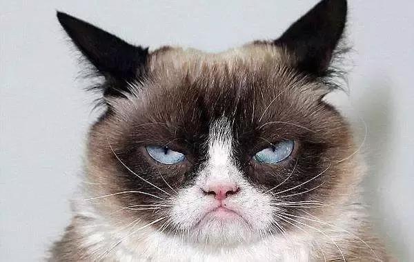 香港留学生都被问过这5个扎心问题，最后一个让我震惊了！