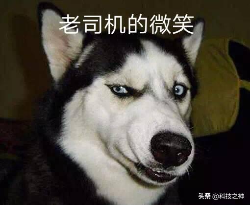 100%去除马赛克的软件,可以免费去除马赛克的软件