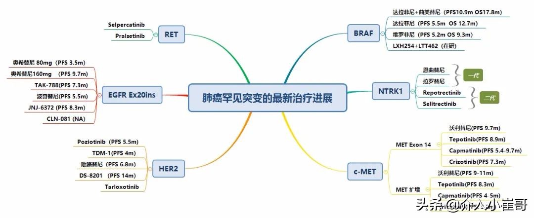 肺癌基因一类二类三类突变解读,肺癌基因突变才能靶向治疗