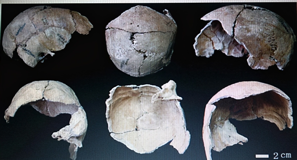 平凉第一人,泾川第一人