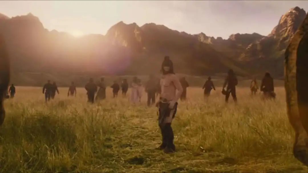 西部世界权威解读,西部世界盘点