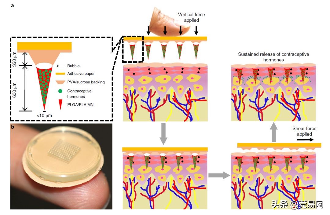 再见了大别山王宏伟原唱,再见了相互嫌弃的老同学