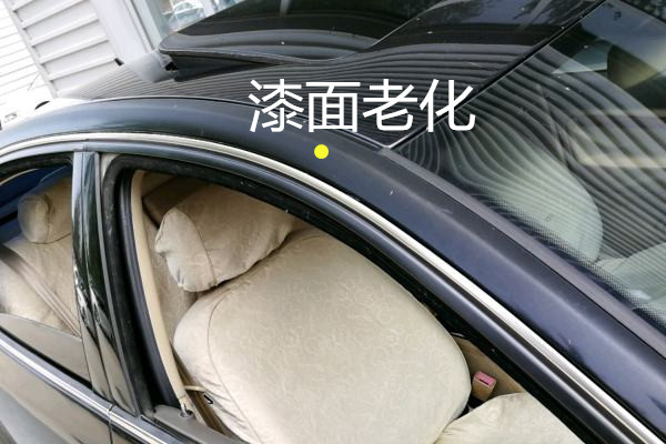 怎样鉴定事故车视频,几千块的大众领驭