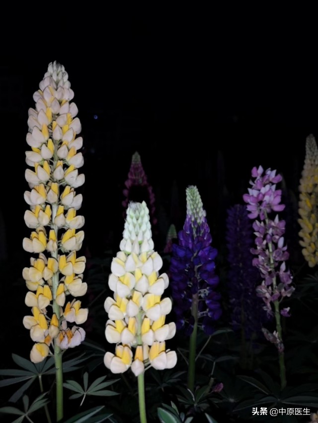 一个切口的阑尾炎手术,阑尾炎微创肚脐部位有个洞