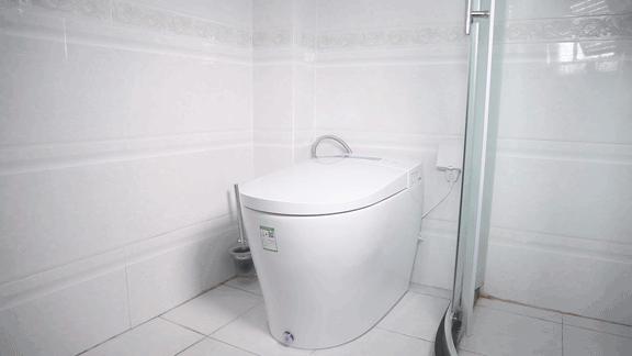 智能马桶到底是不是坑,智能马桶到底好用不