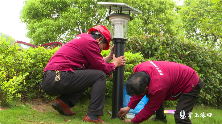 「我为群众办实事」投入100万！渌口城区编织起“病媒生物防制网”