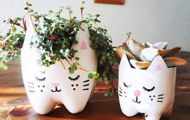 养花不用买花盆既省钱又好看,养花新手怎么养花盆好看