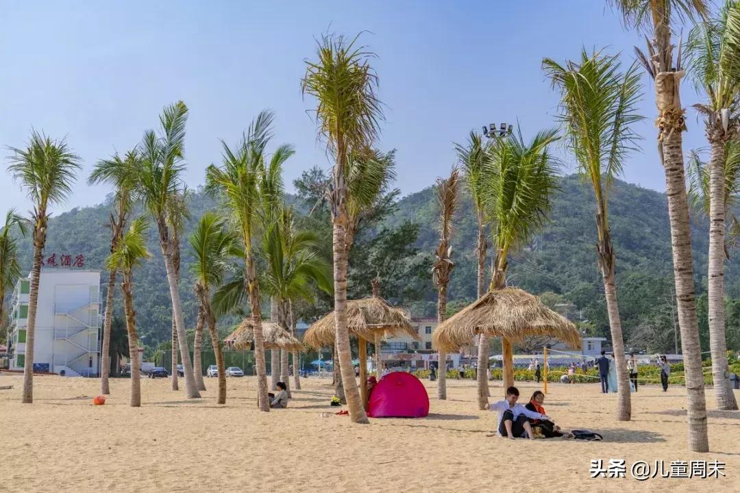 藏不住了深圳小众秘境免费邂逅,藏不住了打卡地