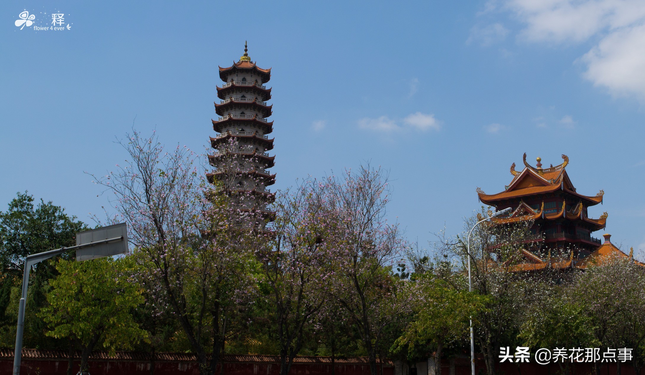 福州最新旅游攻略自由行攻略,去福州旅游自由行攻略最新