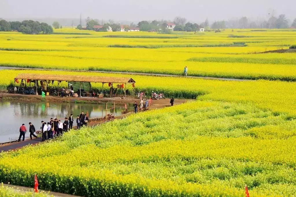 郑州向全球招才引智,郑州欢迎你2018