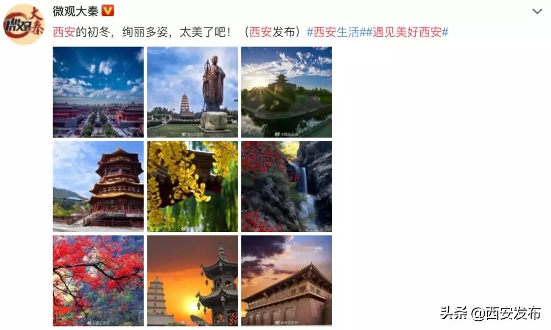 话题阅读量最多,话题阅读量破50