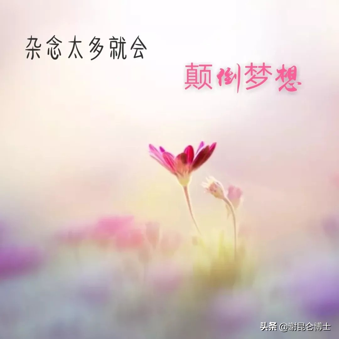 蹇冩槸绌虹殑涓栫晫涔熸槸绌虹殑,蹇冩槸绌虹殑