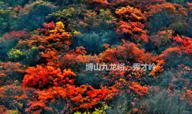 博山红叶谷门票优惠活动,博山十大免费红叶谷