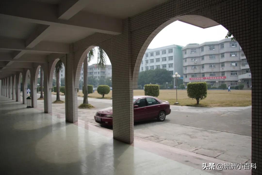 新兴县华侨中学学校介绍,新兴华侨中学历史