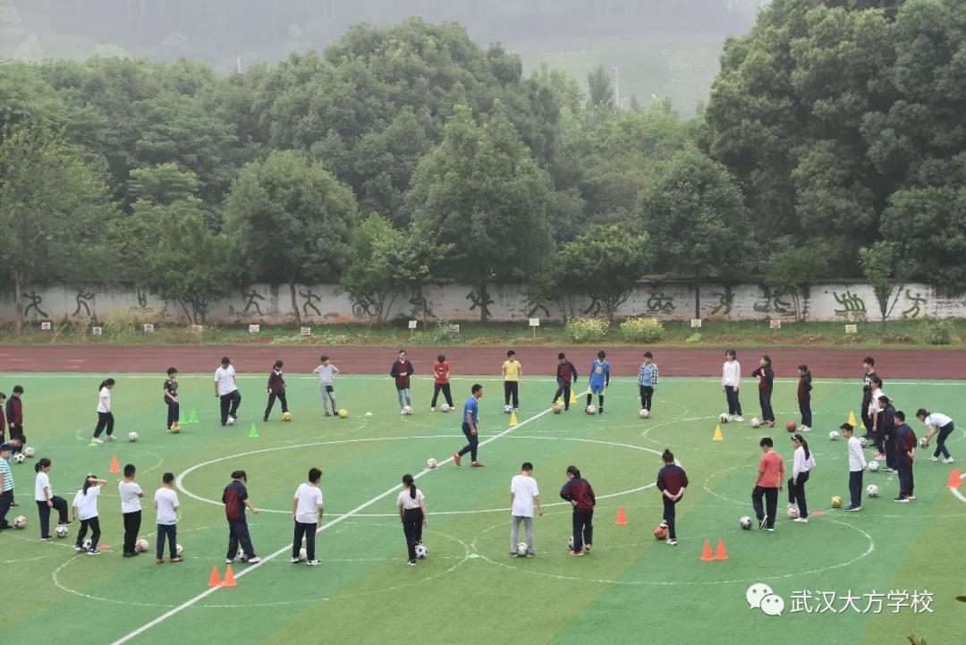 湖北新高考改革专业最新政策,武汉新高考改革方案