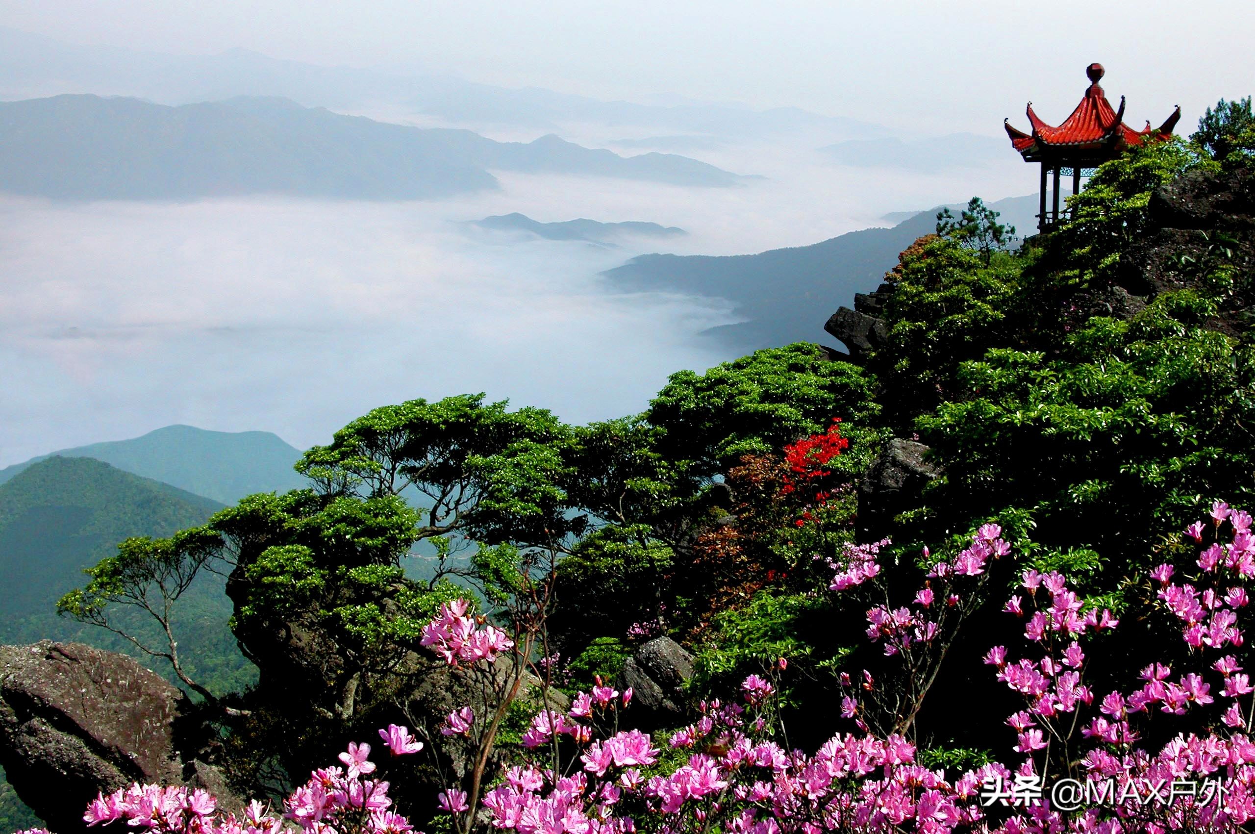 开启你的天然氧吧洗肺之旅,富氧洗肺好去处