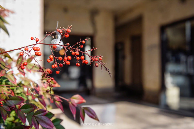 首尔圣水洞oliveyoung,韩国首尔广场打卡景点