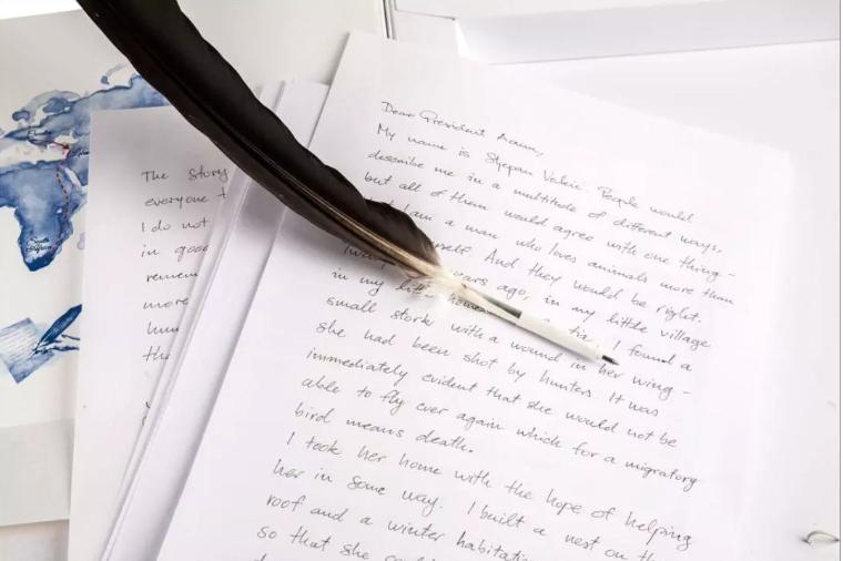 18年感人的爱情故事视频,18年的爱情故事