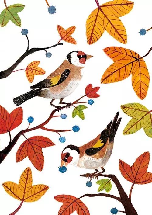 老师投诉儿子英语差,孩子被老师投诉怎么办