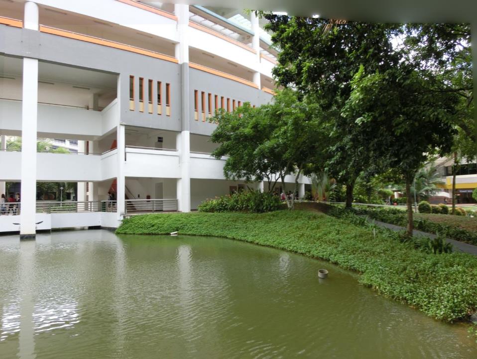 新加坡义安理工学院的文凭,新加坡义安理工学院专业