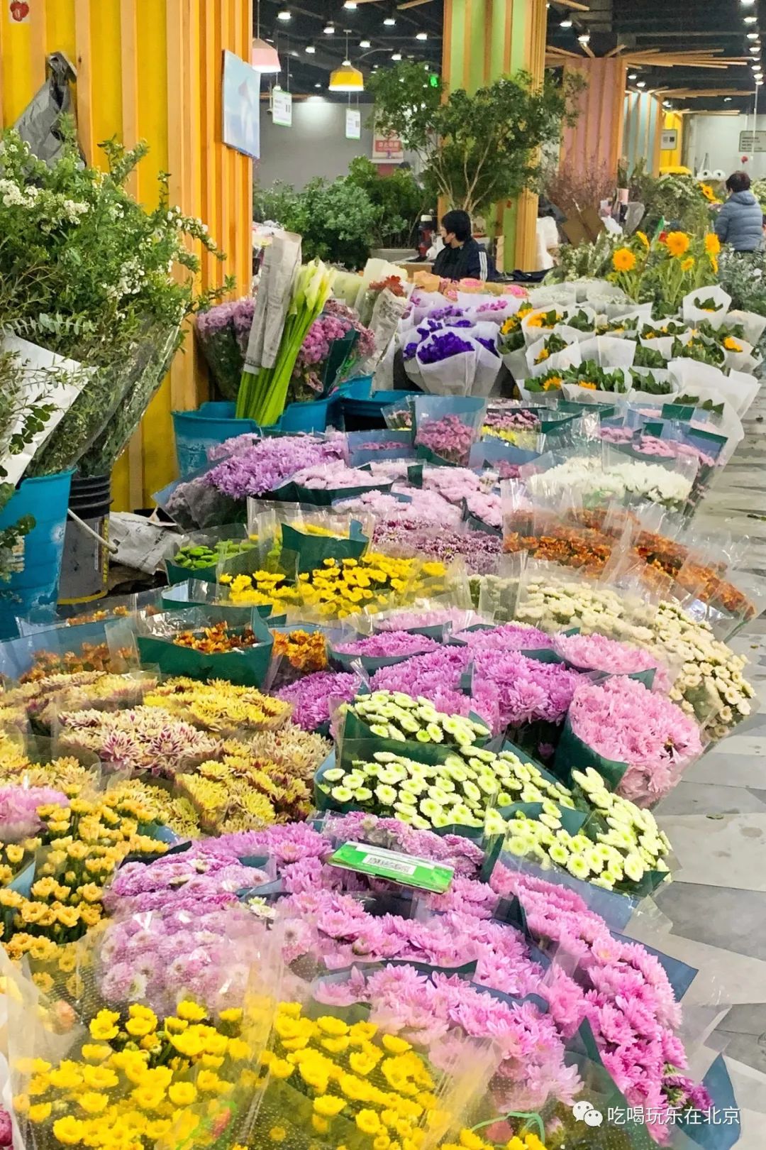 北京崇文区西花市大街,北京通州花市在哪里