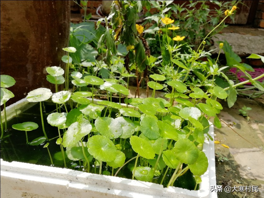 蹲的时间长一站起来头晕,蹲的时间长站起来突然晕一下