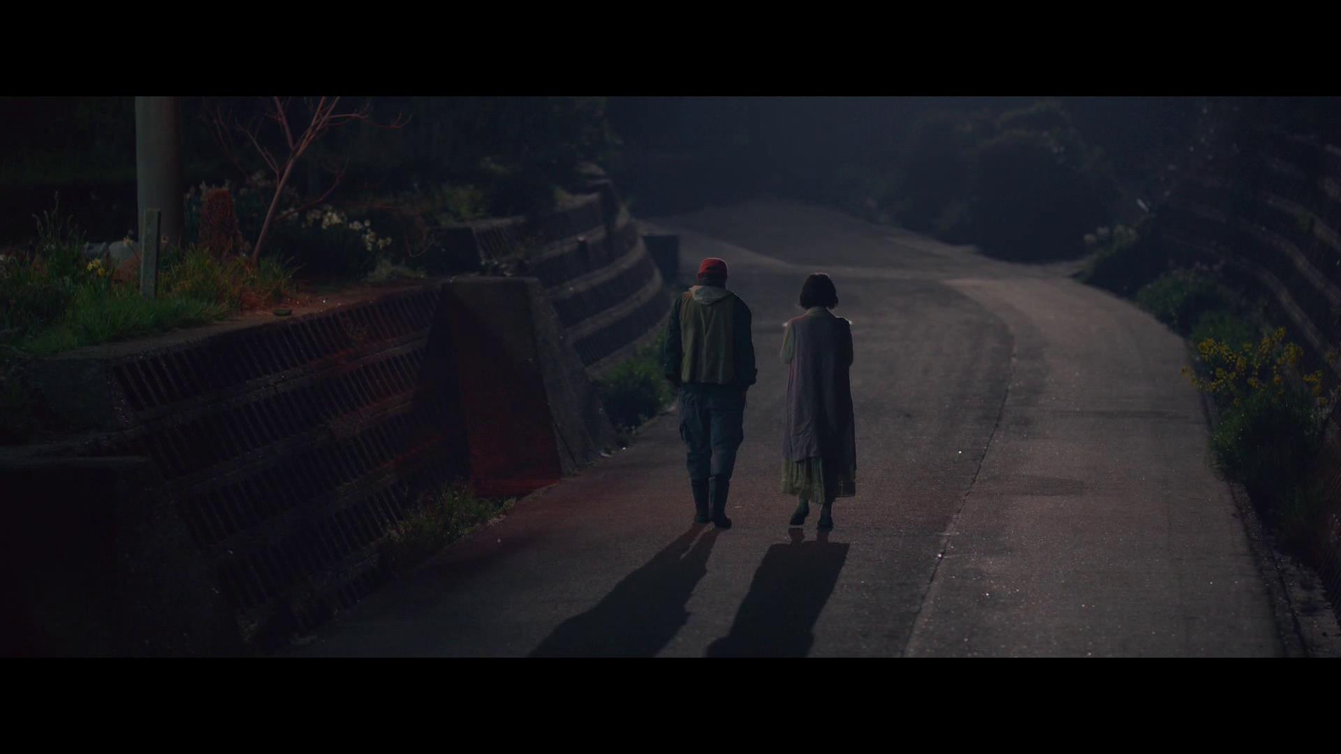 十部顶级治愈系猫片,十部顶级治愈猫的电影