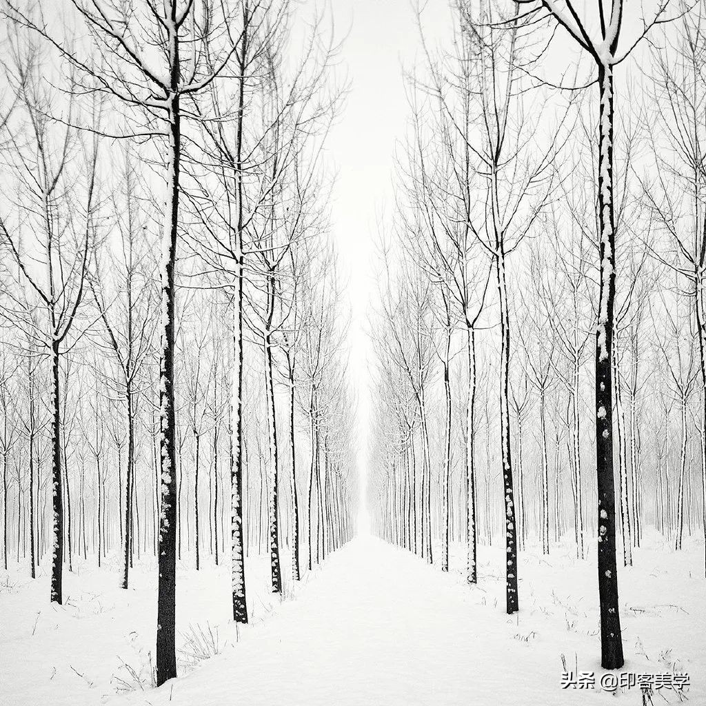 四季插画图片大全,100张唯美插画图