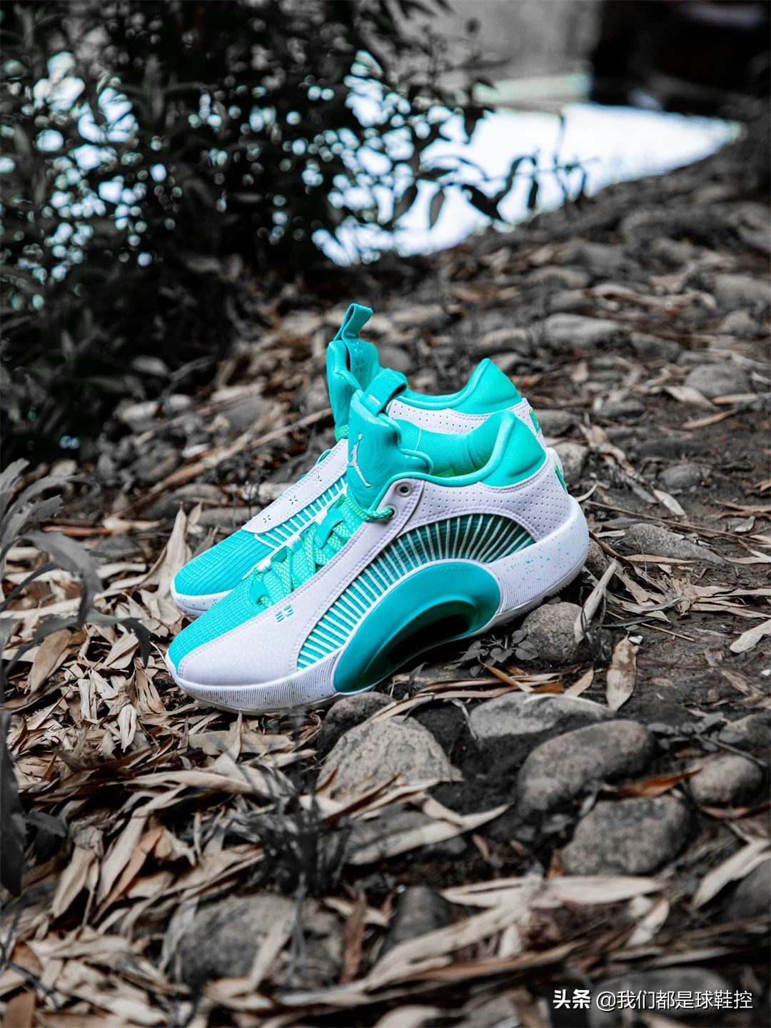 大侄子郭艾伦全明星,大侄子郭艾伦个人集锦