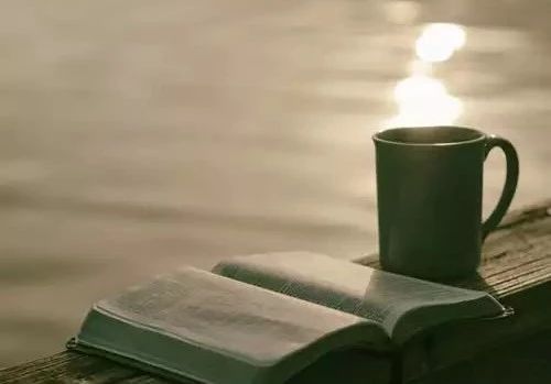 你最有发言权什么意思,读书就是为了有更多的选择权