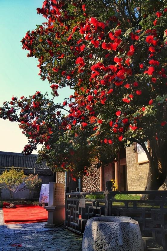 江苏省泰州市区域划分图,江苏泰州市属于华南还是华东