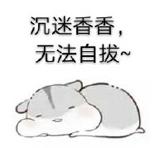 「优质港货」马来西亚科士威身体乳