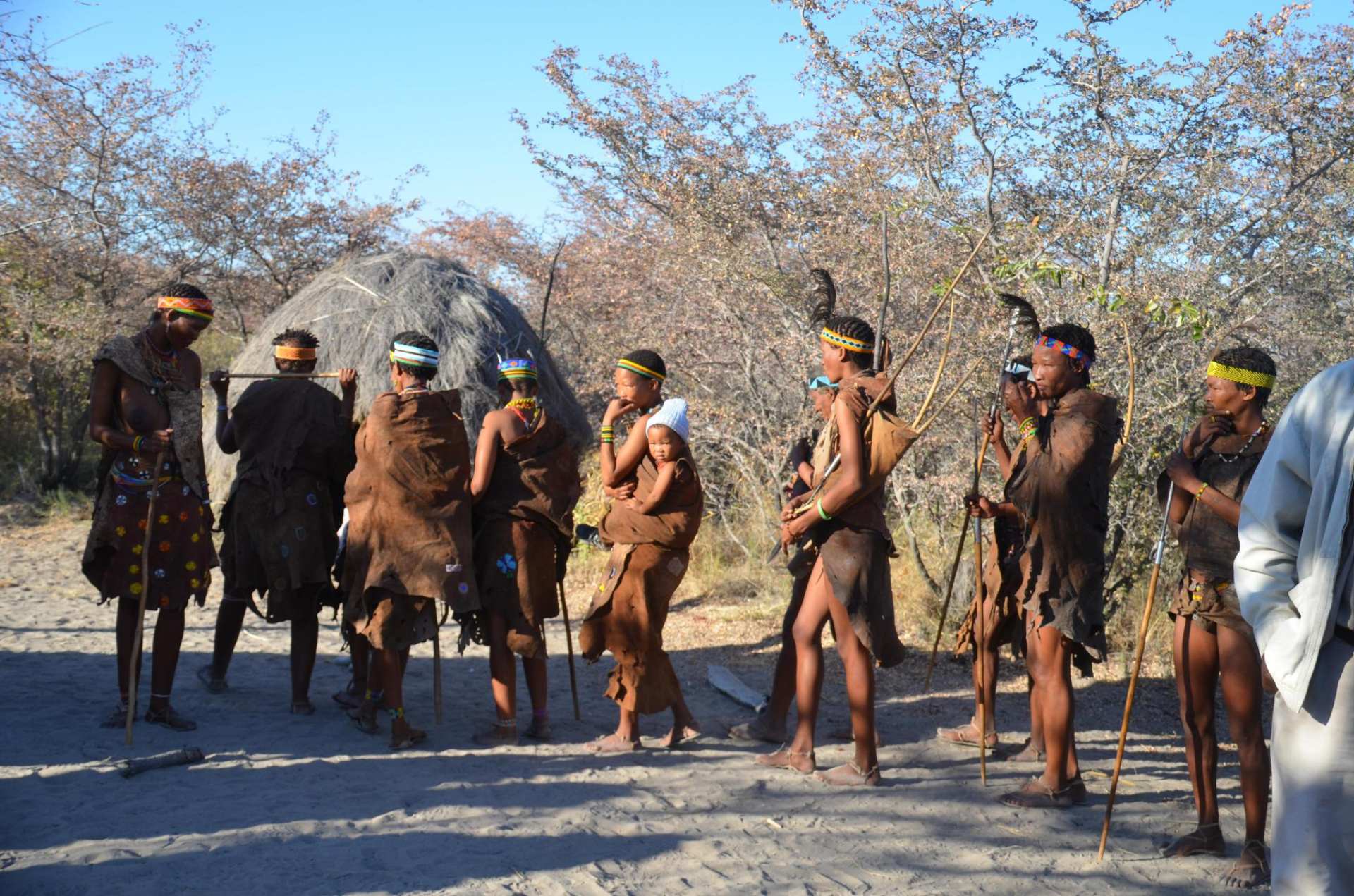 腋毛、阴毛和头发的用处是什么?为什么它们被保留下来了?