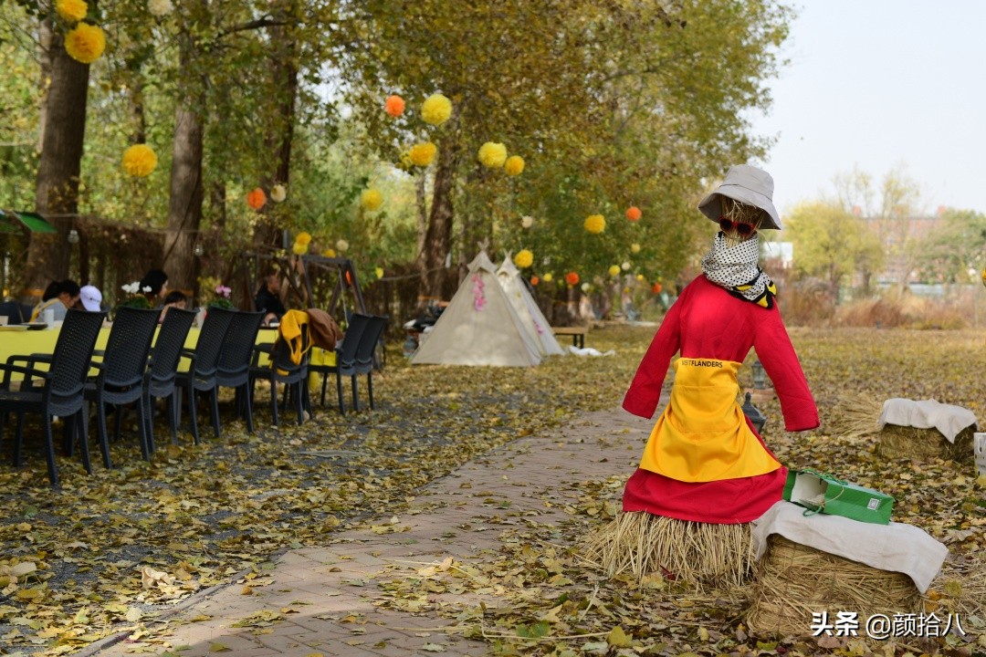 没有比利时花园游，来点比利时啤酒吧|随笔