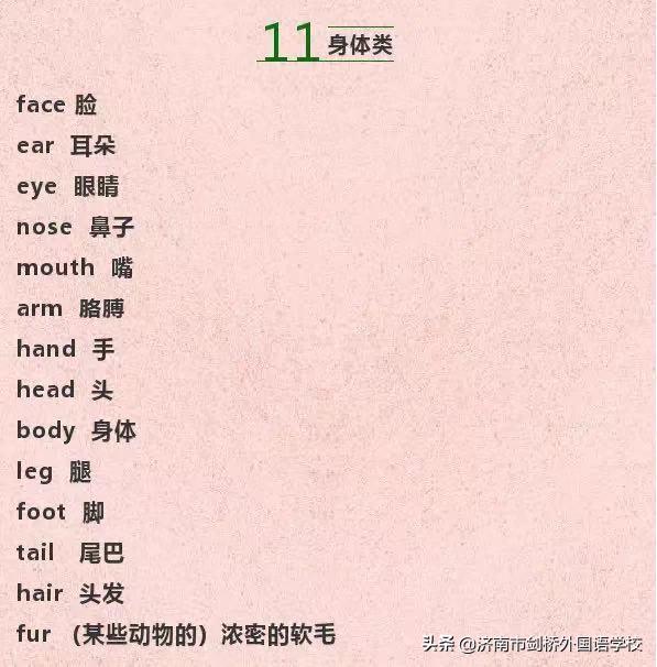 小学英语词汇分类记忆,小学英语最全词汇分类表