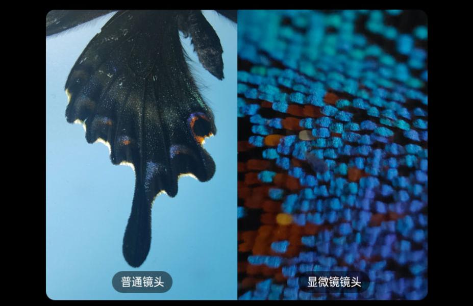 oppo天玑1200与骁龙870,oppo骁龙870和ip68防水的手机推荐