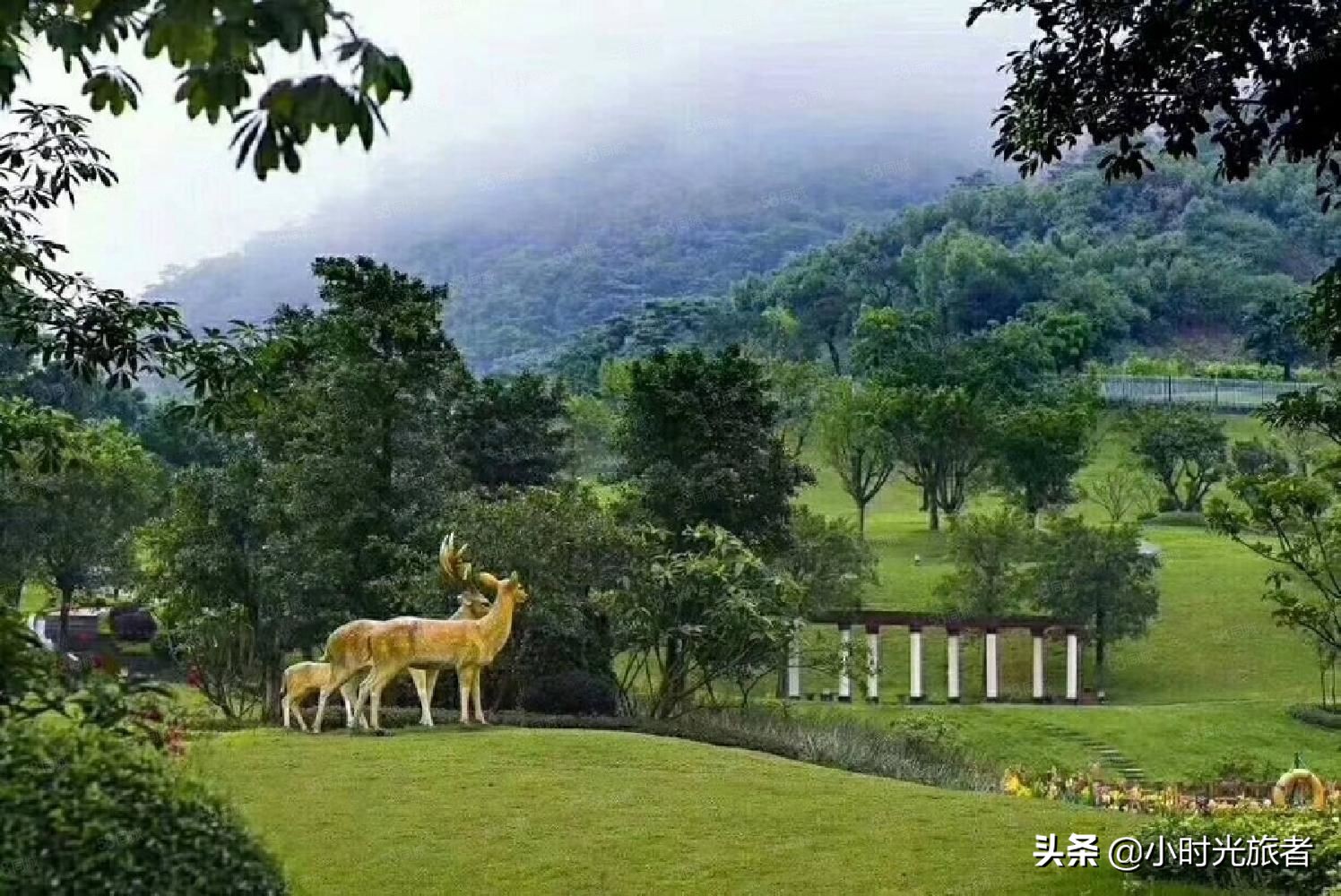 惠州十大顶级户外温泉酒店,惠州可以在室内泡温泉的酒店